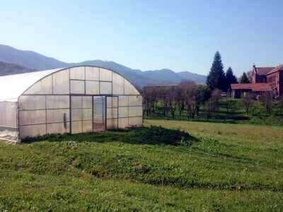 Vinogradi Kaznionice u Lepoglavi