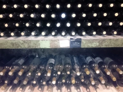 Vinogradi Kaznionice u Lepoglavi