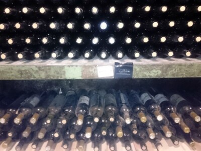 Vinogradi Kaznionice u Lepoglavi