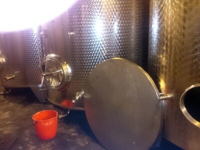 Vinogradi Kaznionice u Lepoglavi