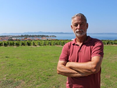 Vinogradi s kraljevskim pogledom