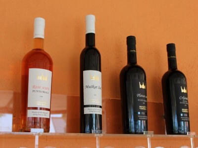 Vinogradi s kraljevskim pogledom