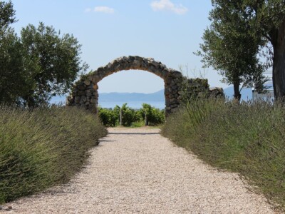 Vinogradi s kraljevskim pogledom