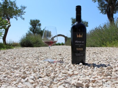 Vinogradi s kraljevskim pogledom