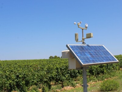 Vinogradi s kraljevskim pogledom