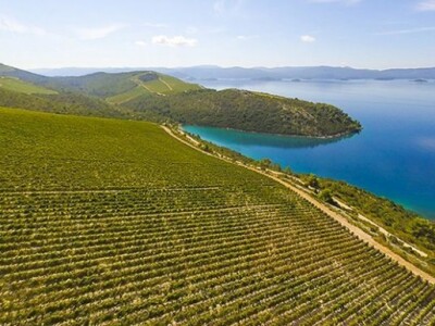 Vinogradi Volarević