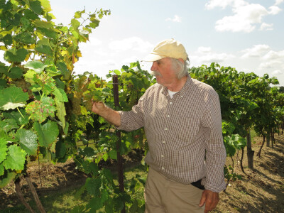 Nakon uspjeha u svemirskom programu, Hrvat oduševio Amerikance i s vinima