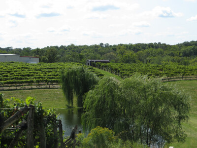 Nakon uspjeha u svemirskom programu, Hrvat oduševio Amerikance i s vinima