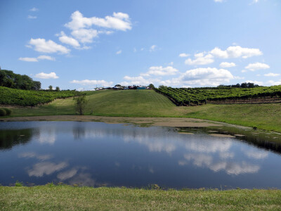 Nakon uspjeha u svemirskom programu, Hrvat oduševio Amerikance i s vinima