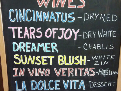 Nakon uspjeha u svemirskom programu, Hrvat oduševio Amerikance i s vinima