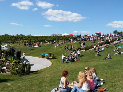 Nakon uspjeha u svemirskom programu, Hrvat oduševio Amerikance i s vinima