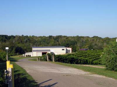 Nakon uspjeha u svemirskom programu, Hrvat oduševio Amerikance i s vinima