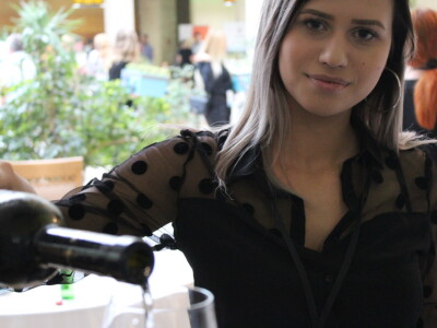 VinoSalis 2018, Tuzla