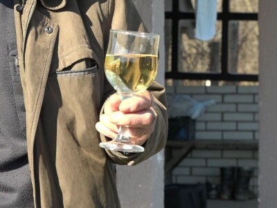 VINOVU LOZU NEMA KO DA GAJI