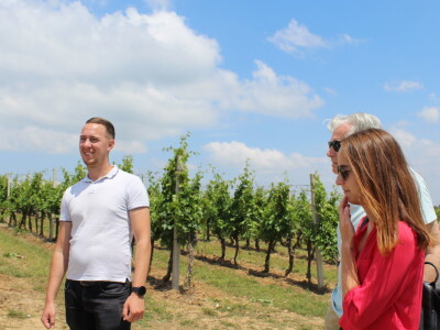 Vinska cesta Bansko brdo