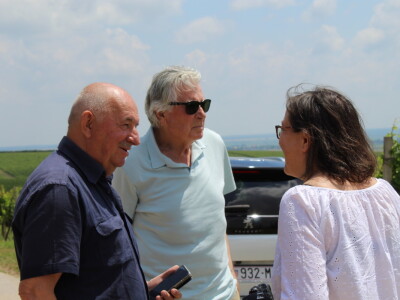 Vinska cesta Bansko brdo