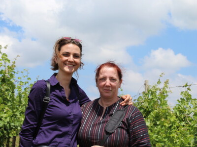 Vinska cesta Bansko brdo