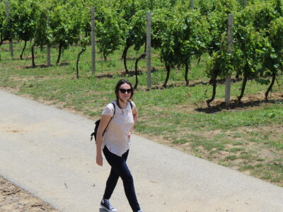 Vinska cesta Bansko brdo