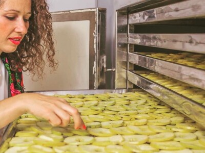 Vinska kuća Hažić