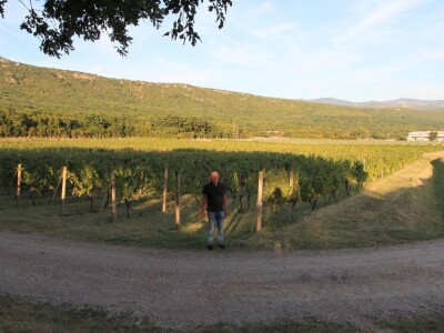 Vinska kuća Pavlomir