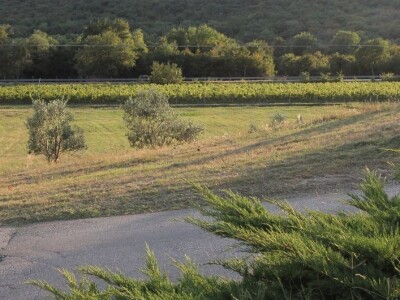 Vinska kuća Pavlomir