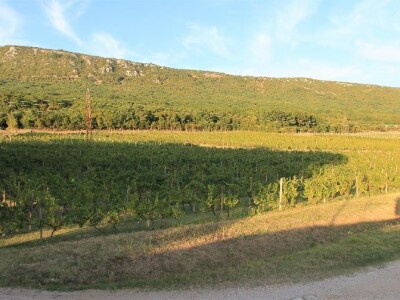 Vinska kuća Pavlomir