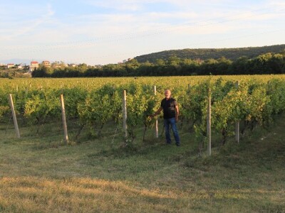 Vinska kuća Pavlomir