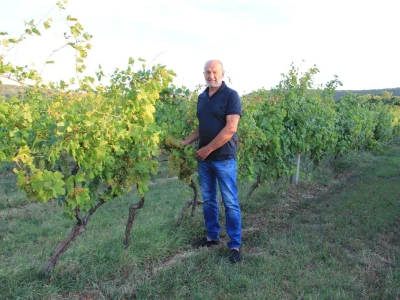 Vinska kuća Pavlomir