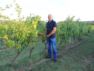 Vinska kuća Pavlomir