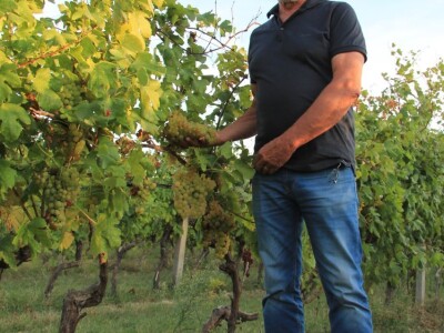 Vinska kuća Pavlomir