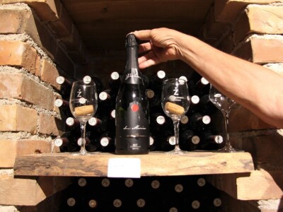 Vinska kuća Pavlomir