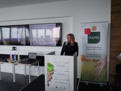 Vinska regija Vinska regija