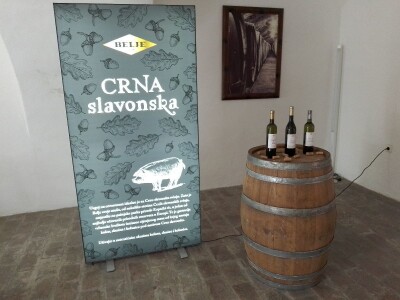 Vinska regija Vinska regija