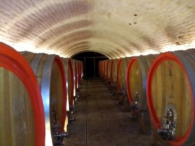 Vinska regija Vinska regija