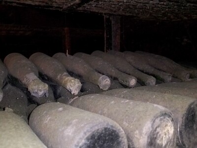 Vinska regija Vinska regija