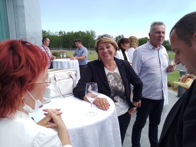 Vinska regija Vinska regija