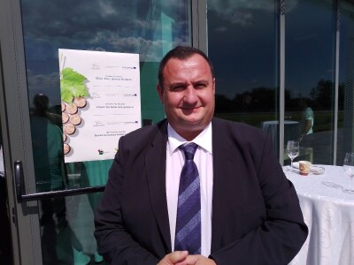 Vinska regija Vinska regija