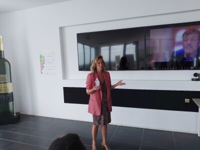 Vinska regija Vinska regija