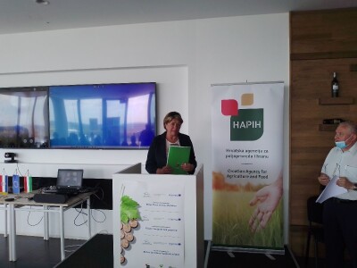 Vinska regija Vinska regija