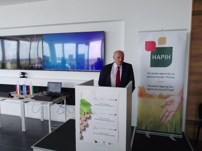 Vinska regija Vinska regija