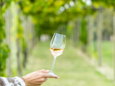 Vinski mjesec