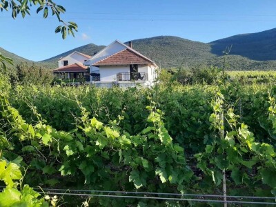 Vinski podrum Petijević