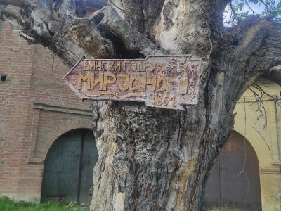 Vinski podrumu u pivnicama