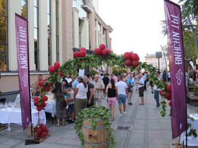 Vinski trg u Derventi