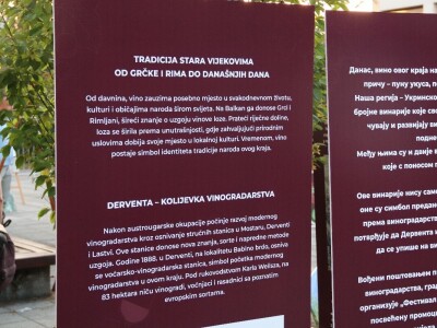 Vinski trg u Derventi