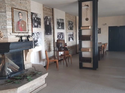 Vinski turizam velika razvojna šansa Topole, foto: M. Lazarević