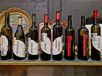 Vinum Academicum iz Požege