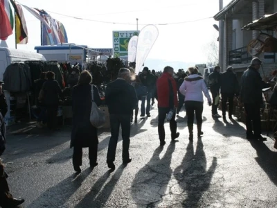 Viroexpo 2013.