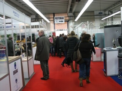 Viroexpo 2013.