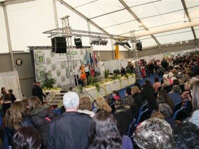Viroexpo 2012.